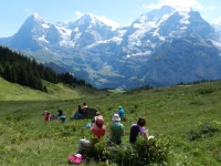 Randos panoramiques, Oberland Bernois