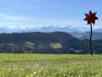 Sentier d’altitude panoramique : de Langnau à Napf